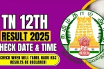tn 12th Result 2025